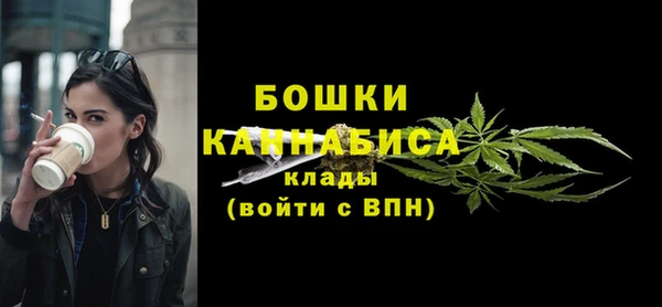 первитин Няндома