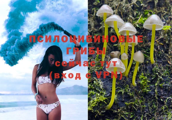 первитин Няндома