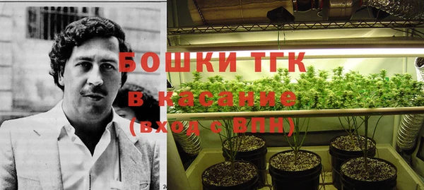 ПСИЛОЦИБИНОВЫЕ ГРИБЫ Абдулино