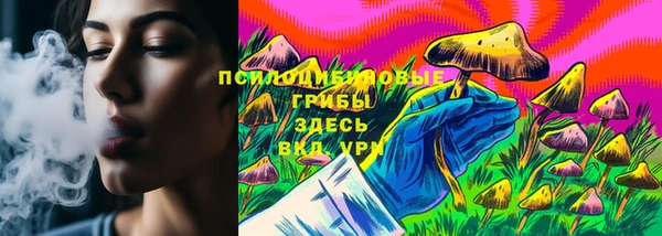 первитин Няндома