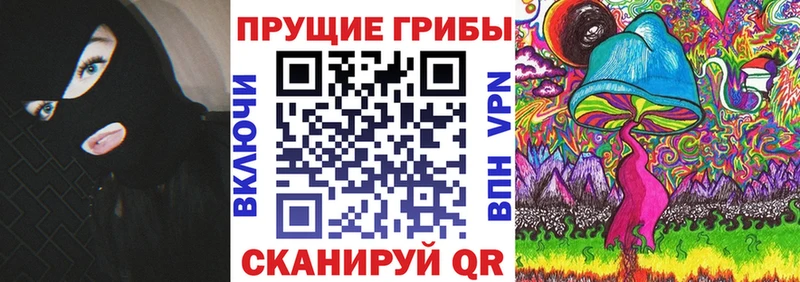 Галлюциногенные грибы Cubensis  Черногорск 