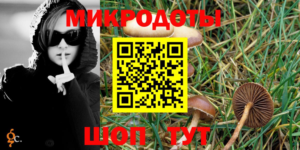 Псилоцибиновые грибы Psilocybe  Вход с VPN  цены   Черногорск  Галлюциногенные грибы Psilocybine cubensis 